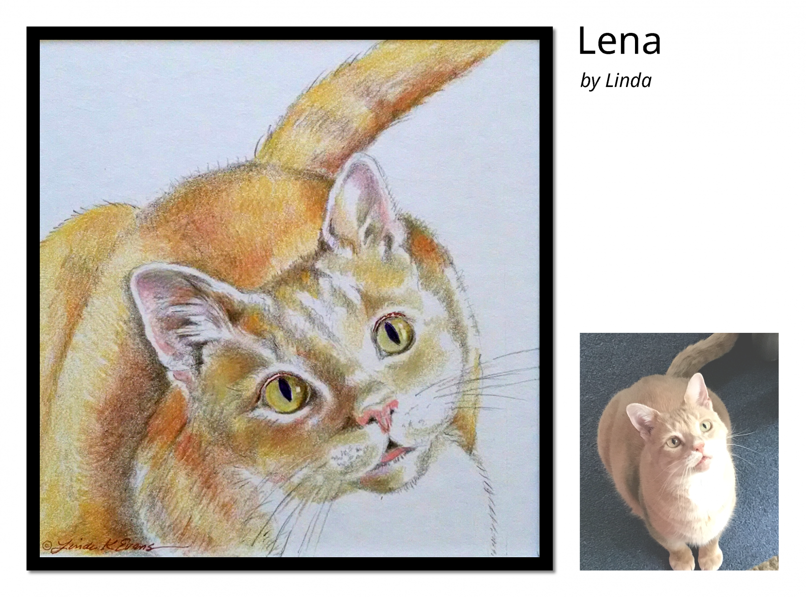Lena-crop