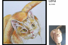 Lena-crop