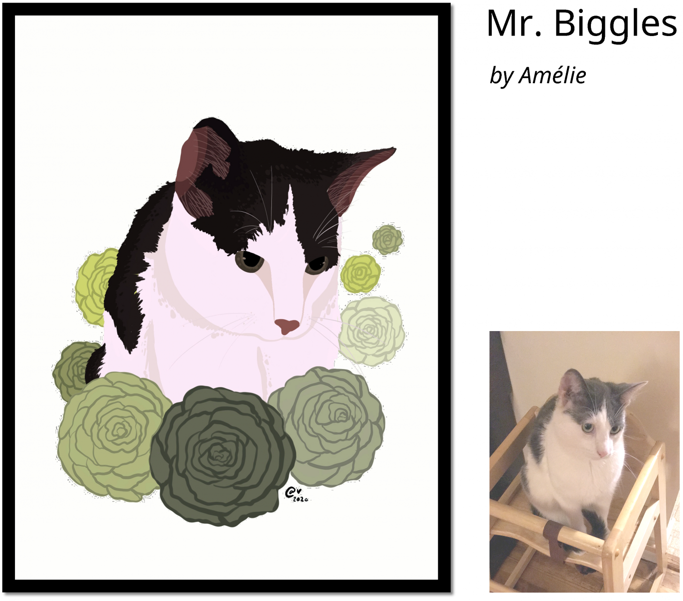 Mr._Biggles-crop