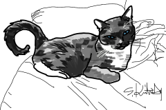 Drawing of Tippy by S. Kirsten Gay