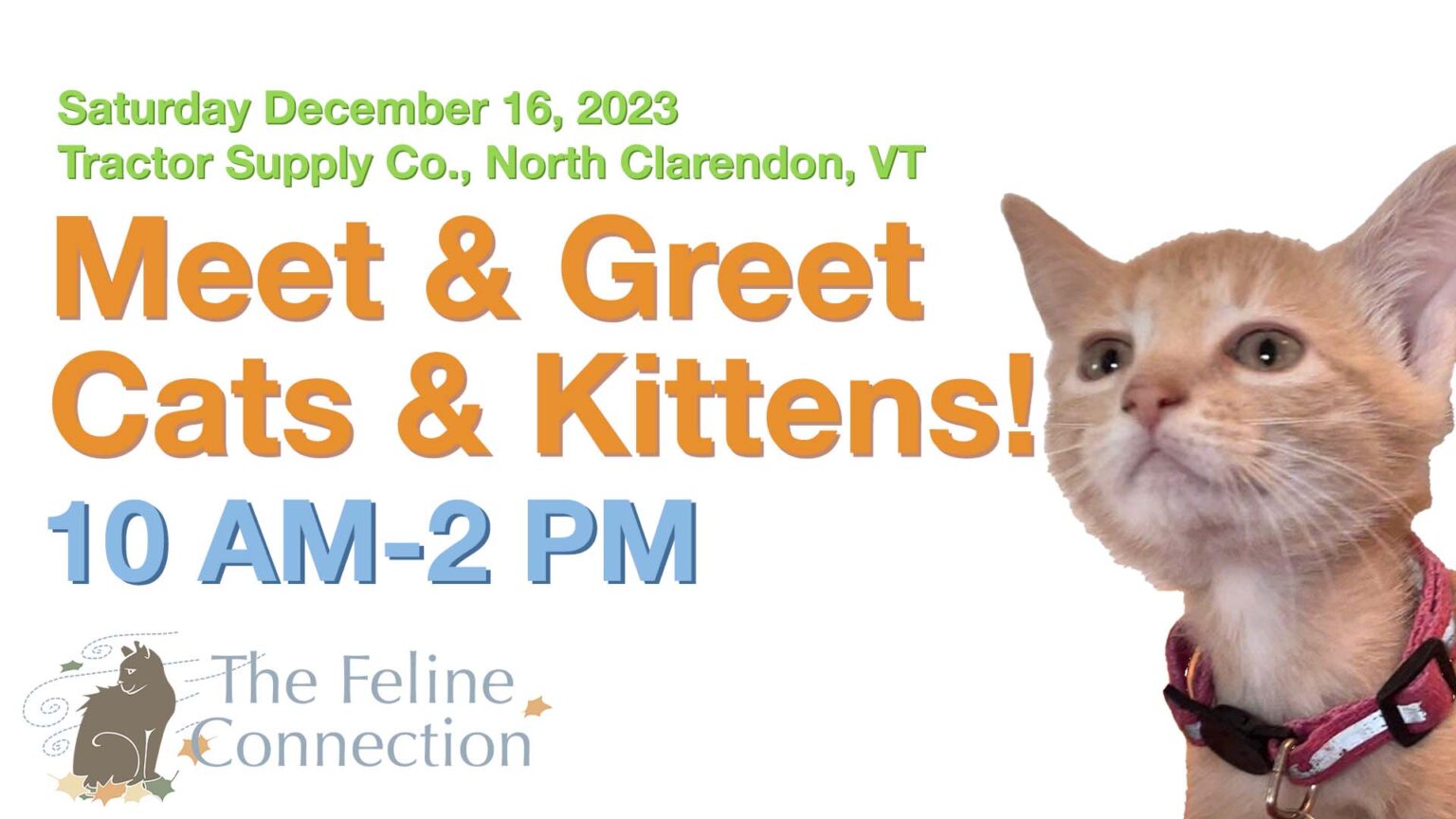 Meet & Greet with Kittens, Cats and Cookies at Tractor Supply, North